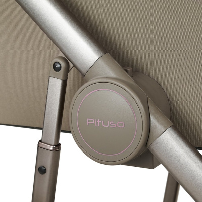 Коляска 2 в 1 Pituso Mobi Truffle