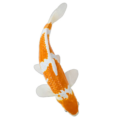 Фигурка Карп кои - Ошиба Шигуре Konik AMS3037 4