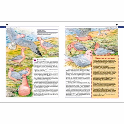 Красная книга России Животные Росмэн 27867