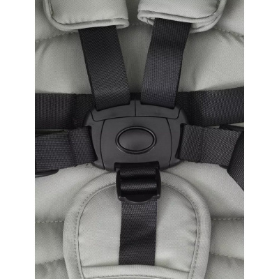 Коляска прогулочная Rant Basic Vega RA105 Green