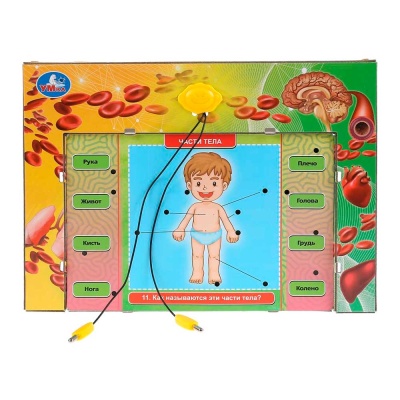 Электровикторина Тело человека Умка HT522-R