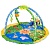 Развивающий коврик Beautiful Garden BabyHit PM-02