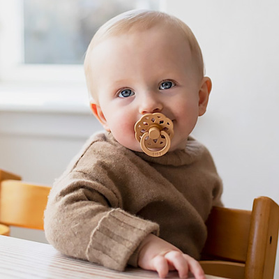 Пустышка латексная Boheme Pumpkin от 6 месяцев Bibs 220314 3