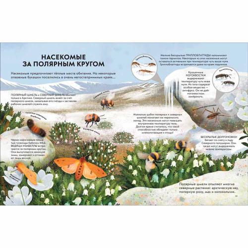 Детская энциклопедия насекомых Росмэн 40032 фото 4