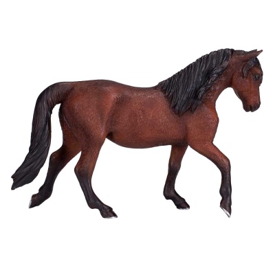 Фигурка Жеребец Морган Konik AMF1008 3