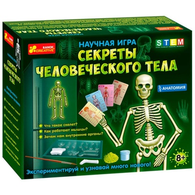 Набор для экспериментов Анатомия Скелет человека Ranok 12115017Р