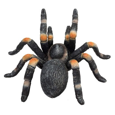 Фигурка Красноколенный тарантул Konik AMW2097 2