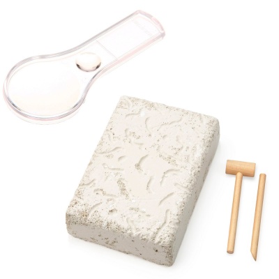 Большой набор для проведения раскопок Рыбы Бумбарам dig-12 3