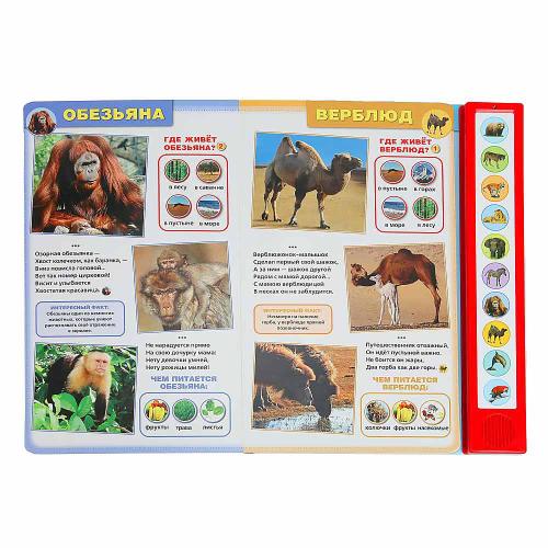 Книга интерактивная озвученная Дикие животные Умка 9785506072348 (24) фото 2