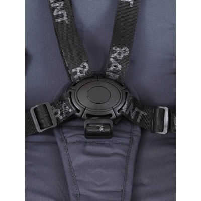 Коляска детская 2 в 1 Rant Basic Energy RA091 Graphite