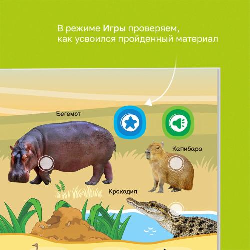 Интерактивная книга Маленькая Нажималка Всё о животных BertToys FD152 фото 10