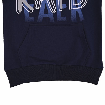 Свитшот демисезонный для мальчика Seabird Sr A011