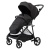 Прогулочная коляска Peppy Amici Black рама Black