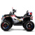 Детский электроквадроцикл русский медведь RiverToys Z111ZZ
