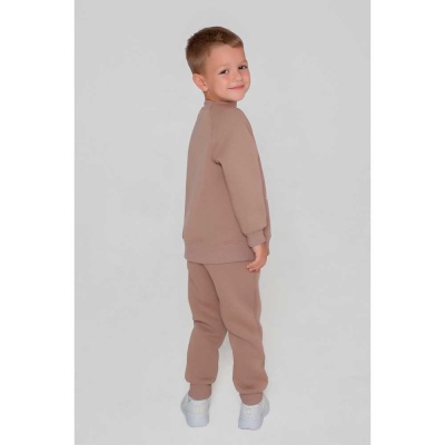 Толстовка для мальчика Спенсер Ивбэби 10932