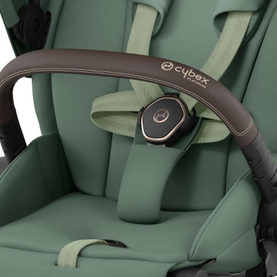 Коляска 2 в 1 Cybex Priam IV Rosegold Leaf Green