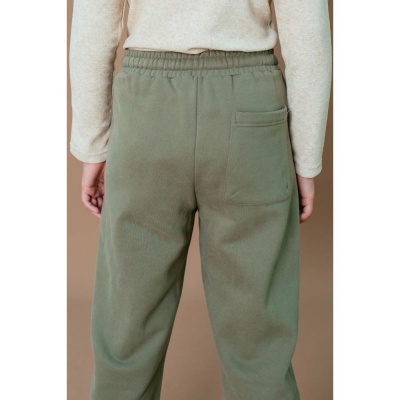 Брюки Deloras 55384 хаки 05