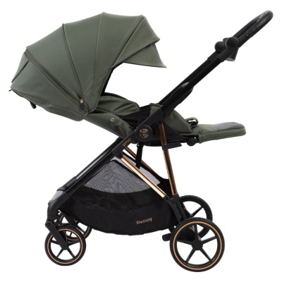 Прогулочная коляска Peppy Amici Green рама Gold (LX)