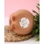 Копилка Capybara Frog Friend iLikeGift BB2574-7-02 Копилка Capybara Frog Friend iLikeGift BB2574-7-02