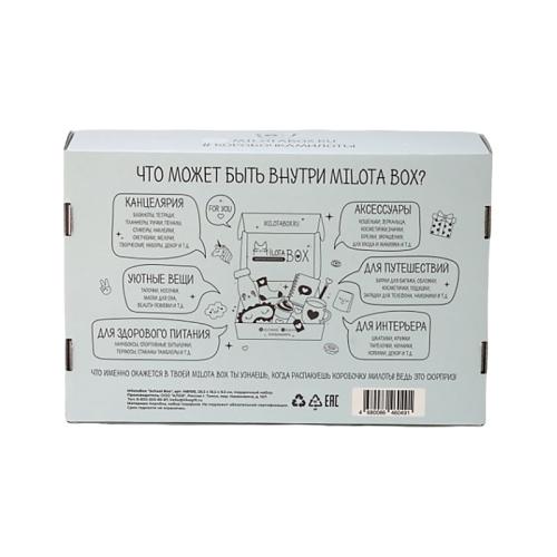 Подарочный набор MilotaBox School Box iLikeGift MB100 фото 2