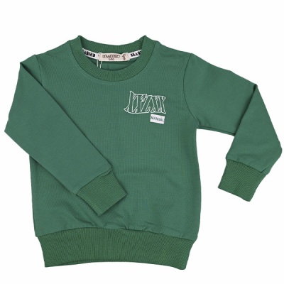 Свитшот демисезонный для мальчиков Seabird Sr 5514