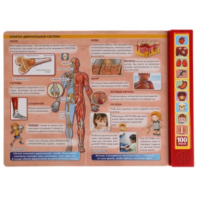 Энциклопедия Моё тело 100 звуков Умка 9785506040323 1