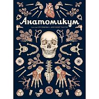 Энциклопедия Анатомикум Махаон 50207651