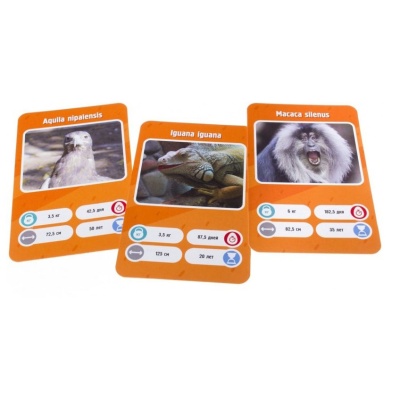 Настольная игра Это факт! Зоопарк Gaga Games 66066