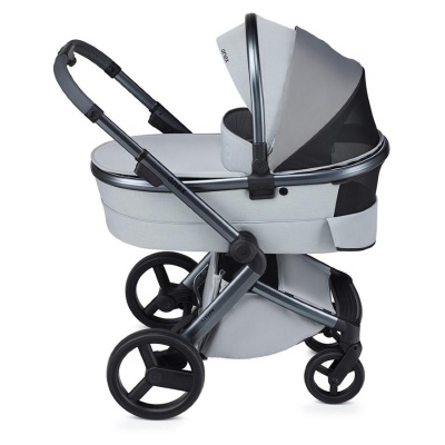 Коляска 2 в 1 Anex l/type (lt-10t) Frost с аксессуарами