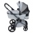 Коляска 2 в 1 Anex l/type (lt-10t) Frost с аксессуарами