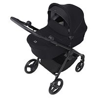 Коляска 2 в 1 Anex IQ (iQ-10-NT) Nyx