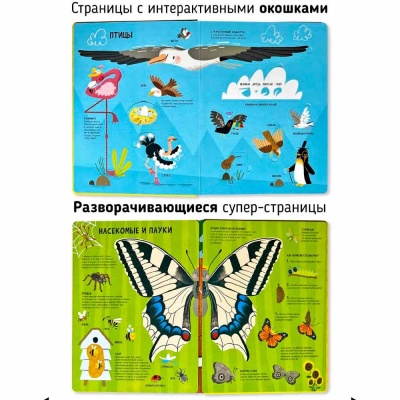 Книга Мои первые открытия Животные Счастье внутри 1065-6 3