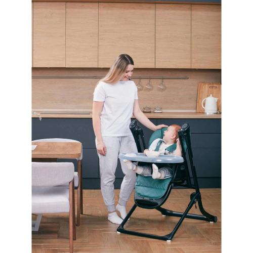 Стульчик для кормления Rant Melody RS201 Dark Green фото 21