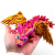 Подвижная 3D-игрушка Кристалический дракон Сайфер FunBerry Toys 907