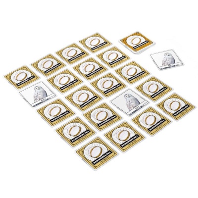 Настольная игра Гарри Поттер Магия памяти Стиль Жизни ASM20