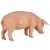 Фигурка Свинья, самец Konik AMF1029 Фигурка Свинья, самец Konik AMF1029