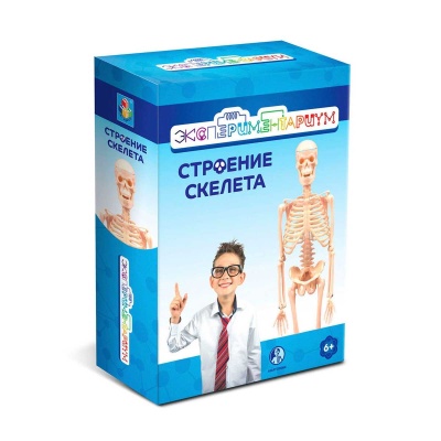 Набор Строение скелета Экспериментариум 1toy Т17574 1