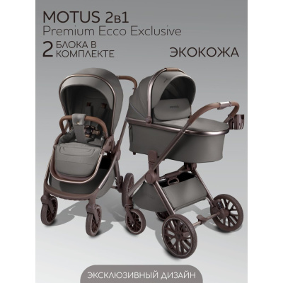Коляска 2 в 1 Amarobaby Motus Premium Ecco Exclusive серый 02