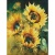 Алмазная мозаика Подсолнухи 30х40 см полное заполнение Рыжий кот АЛМ-0033