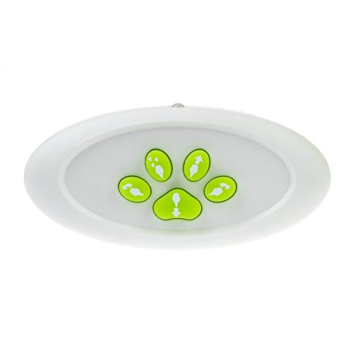 Игрушка интерактивная Robo Pets Динозавр Т-Рекс 1toy Т22441 фото 3