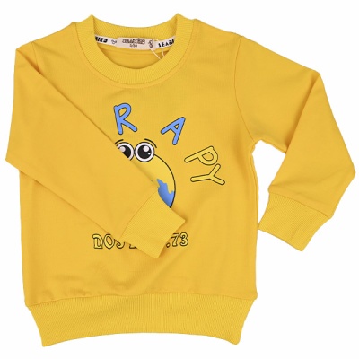 Свитшот демисезонный для мальчика Seabird Sr A004