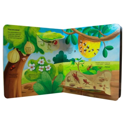 Животные Энциклопедия с окошками Росмэн 41701 3