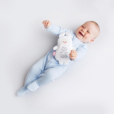 Мягкая игрушка-грелка с вишнёвыми косточками Зайка с метрикой Мякиши 660 05