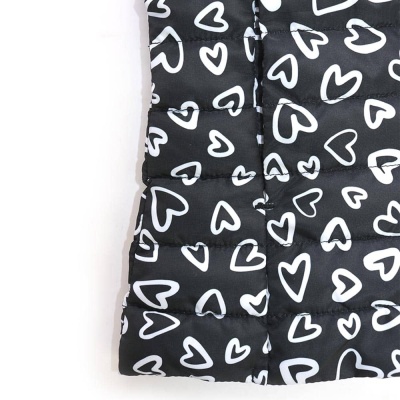 Жилет утепленный плащ Dodipetto 4.6027.00