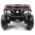 Детский электроквадроцикл 4WD RiverToys T001TT красный