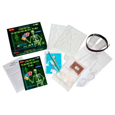 Набор для экспериментов Анатомия Скелет человека Ranok 12115017Р 2