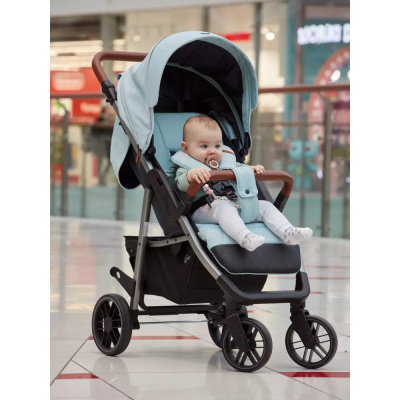 Коляска прогулочная Rant Vega RA057 Blue