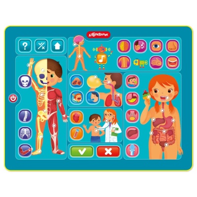Развивающая игрушка Планшетик Тело человека Азбукварик 3355 01