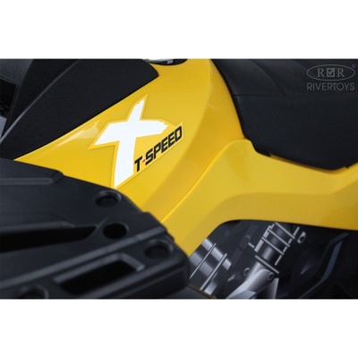 Детский электроквадроцикл 4WD RiverToys T001TT зеленый