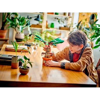 Конструктор Lego Harry Potter 76433 Мандрагора 05